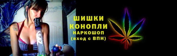 дурь Бронницы