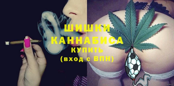 дурь Бронницы